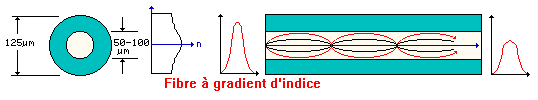 fibre  gradient d'indice